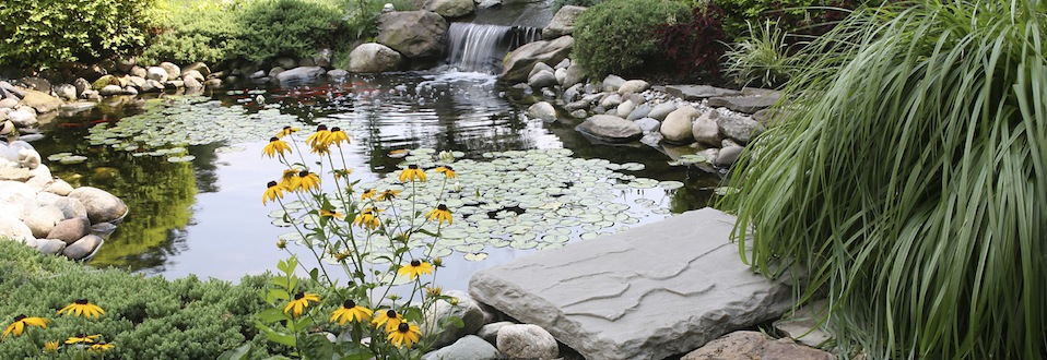 pond
